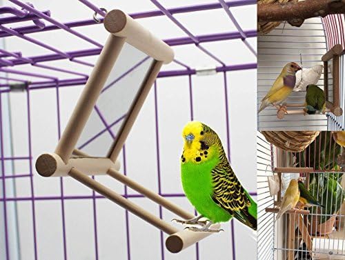 Hypeety Bird Parrot Mirror Toy Swing Hanging with Perch for Parrot Parakeet Budgies Cockatiel Conure Finch Lovebird (D)