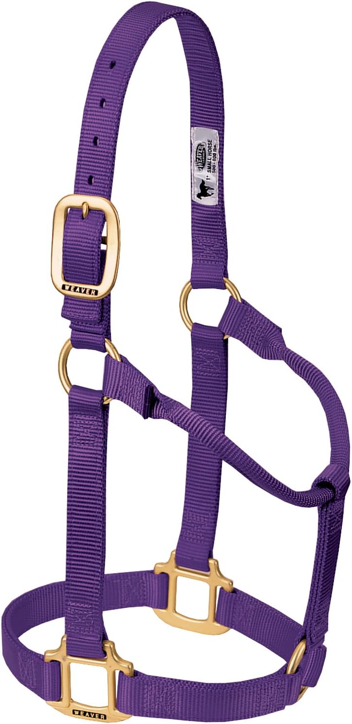 Weaver Equine Nylon Horse Halter, Triple-Ply Cheek Design, Original Non Adjustable Halters for Horses, Equine Tack,Average Size, Black