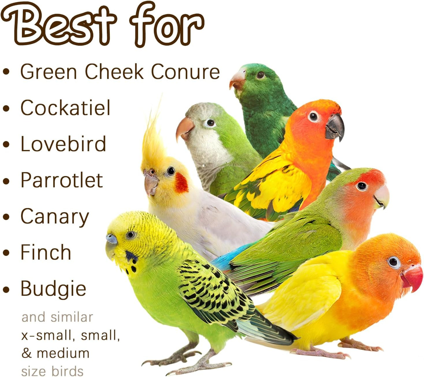 5-Pack Natural Hanging Basket Bird Toys – Foraging & Chewing Toys for Parakeets, Cockatiels, Conures & Small Birds – No Plastic, All-Natural Materials