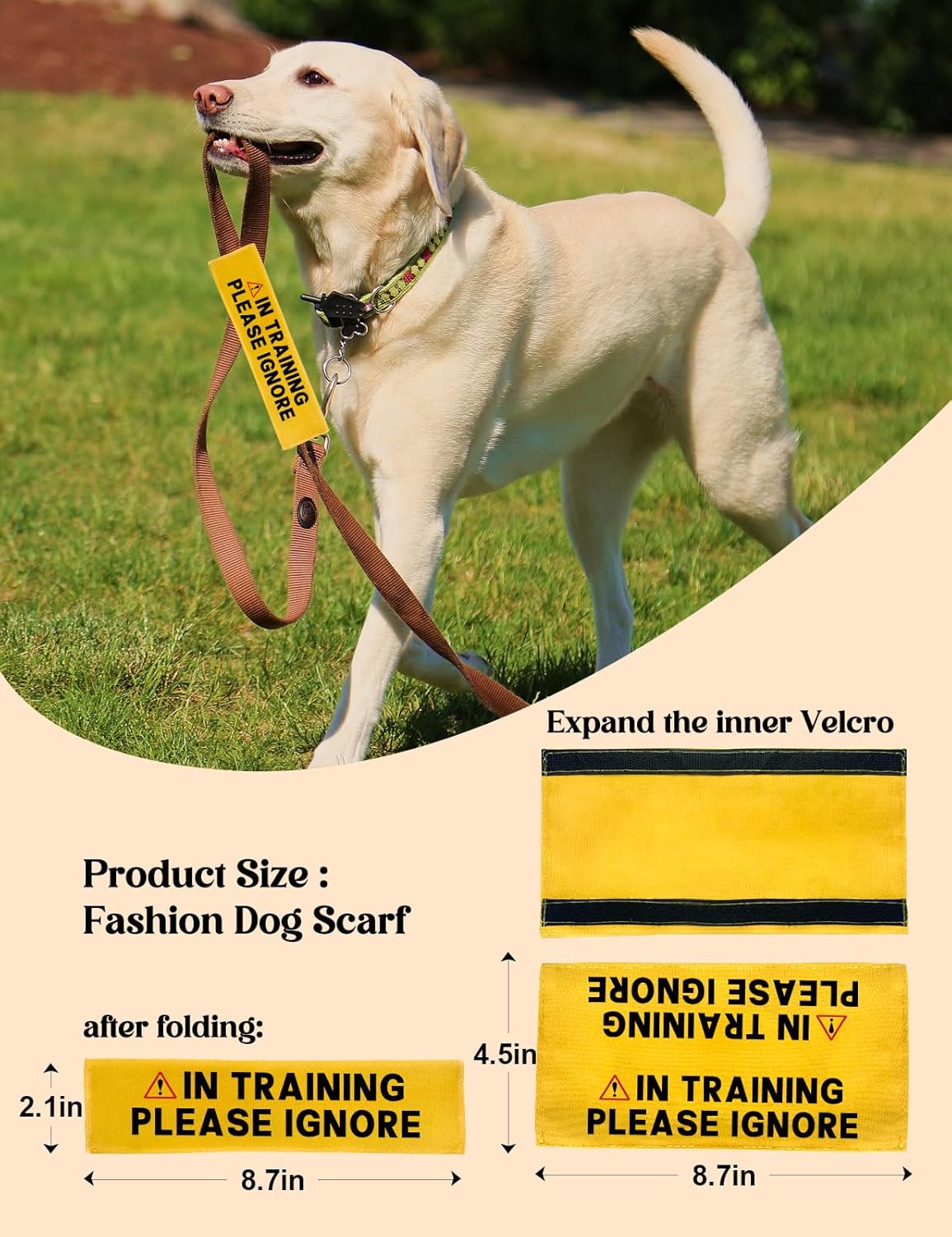 in Training Please Ignore Leash Sleeve, Funny Yellow Dog Alert Hanging ID Patch Tag, Do Not Pet Working Leash Wrap, Pet Birthday Gifts for Dog Owners