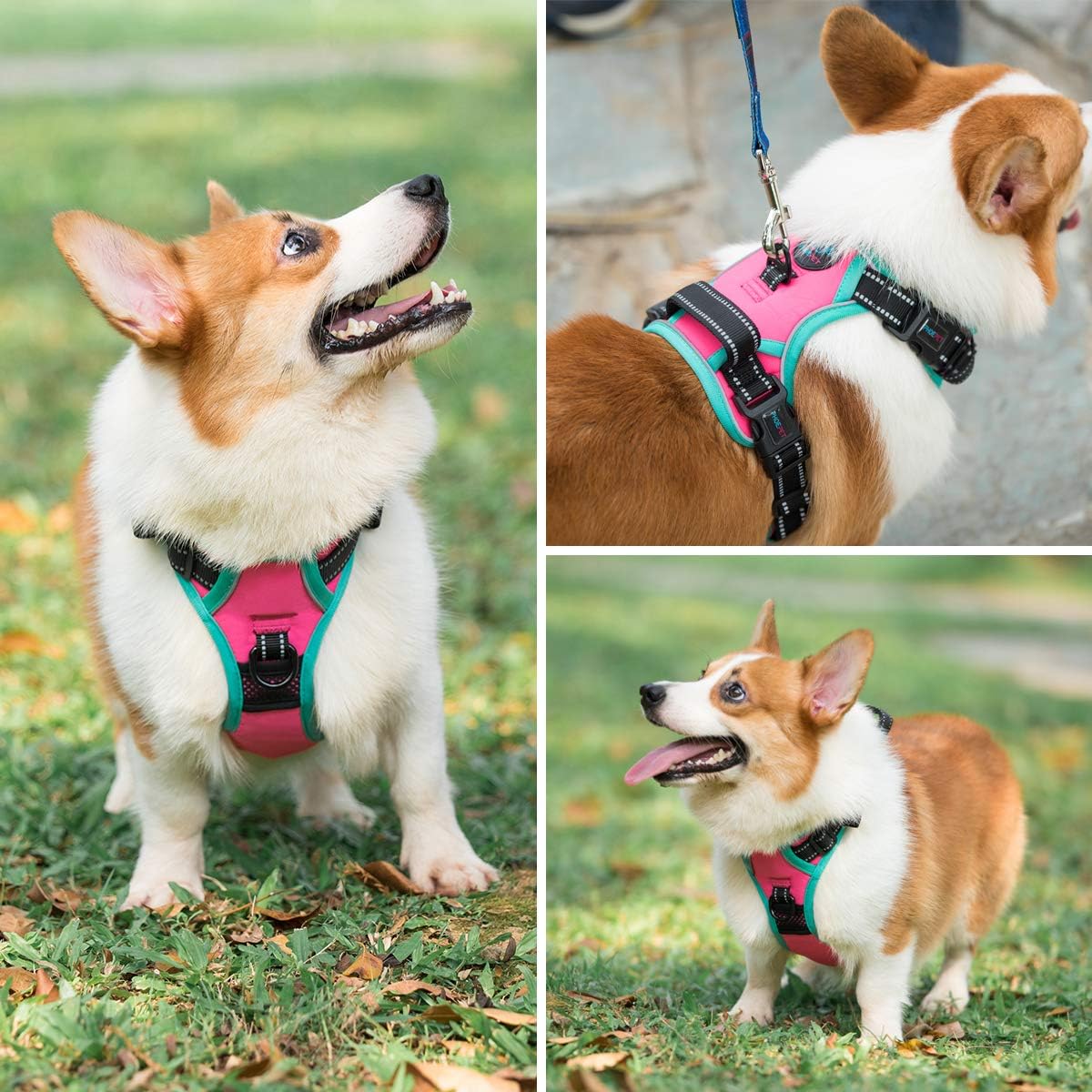 PHOEPET 2019 Upgraded No Pull Dog Harness, Reflective Adjustable Vest, with a Training Handle + 2 Metal Leash Hooks+ 3 Snap Buckles +4 Slide Buckles(XS, Pink)