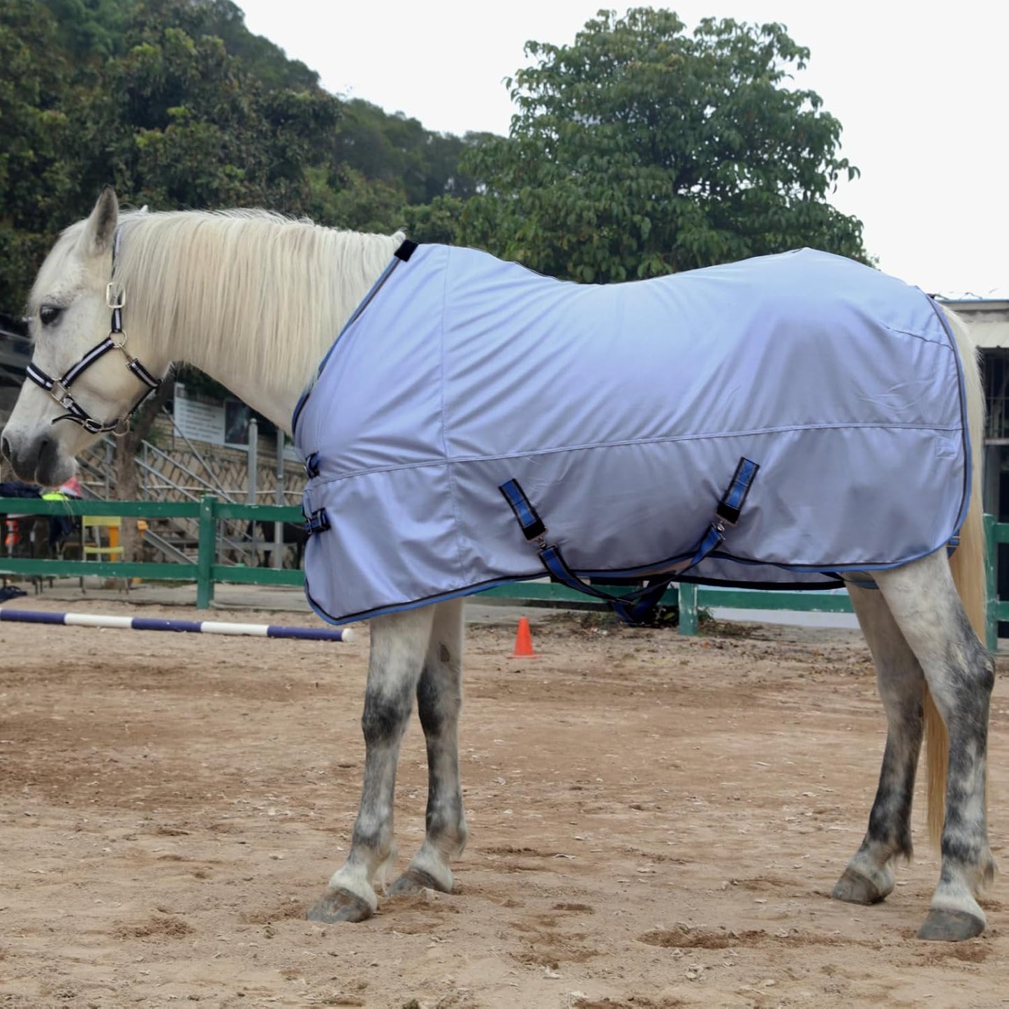 Horse Fly Sheet, Standard Neck Comfy Mesh Fly Sheet for Horses, Equine Summer Sheets UV-Protective Lightblue 69