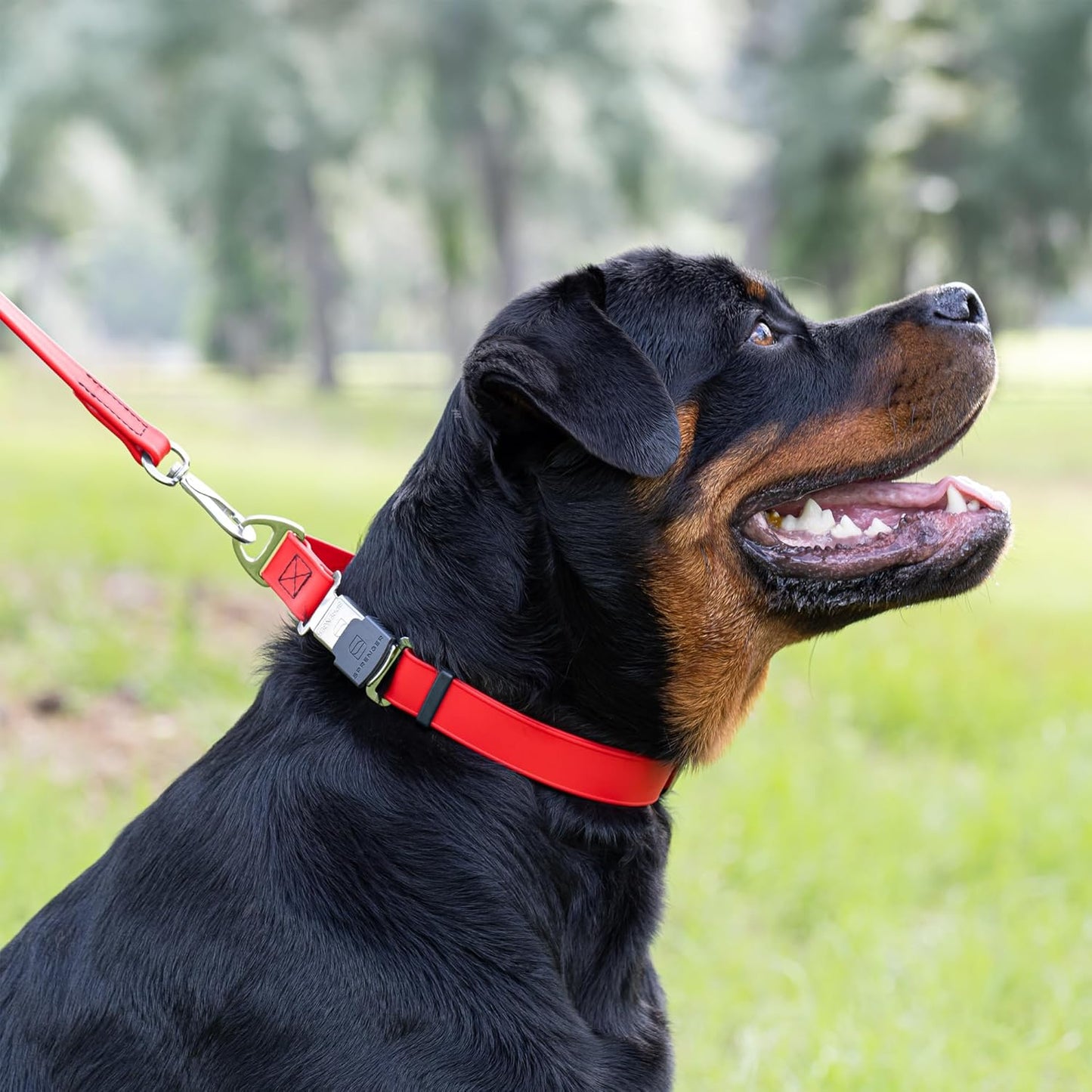 Dogline Biothane Waterproof Dog Collar with Herm Sprenger Stainless Steel Quick Release Buckle – Heavy Duty Tactical Durable Collar for Dogs – Comfortable and Safe Pet Collar, W 3/4" L 12-19", Red