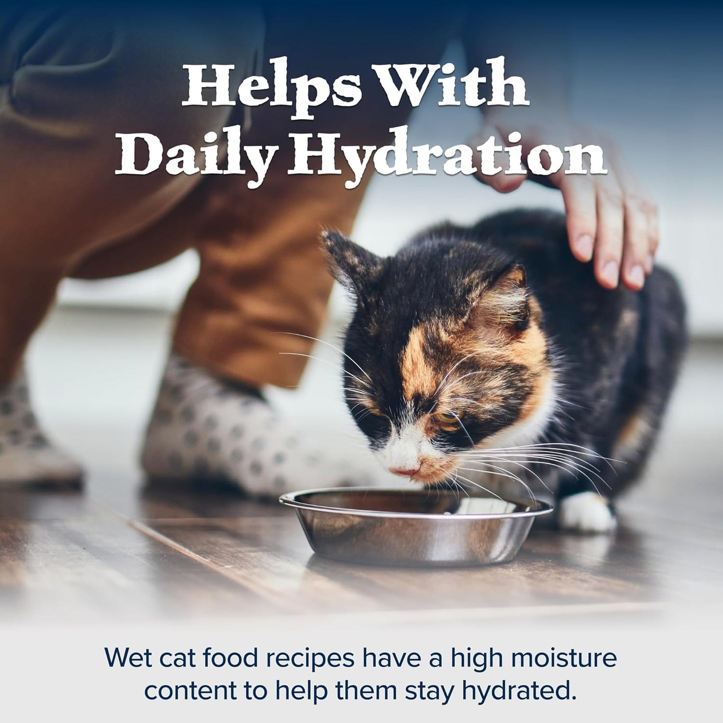 Blue Buffalo Wilderness Wild Delights Minced Wet Cat Food, High-Protein & Grain-Free, Made with Natural Ingredients, Chicken & Trout Recipe in Tasty Gravy, 5.5-oz. Cans (24 Count)