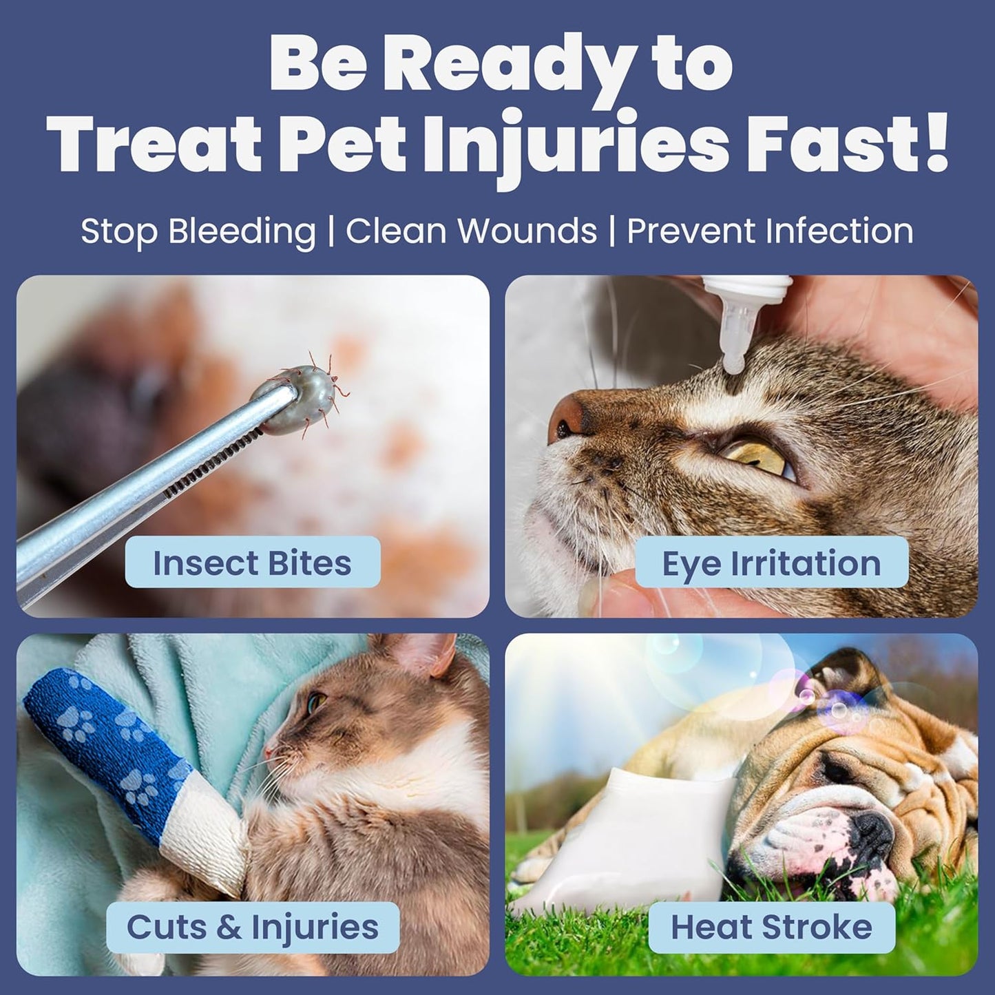 Dog First Aid Kit 3-Pack – 2 Hard-Sided & 1 Compact Travel Pet First Aid Kits – Vet-Approved Emergency Supplies with First Aid Guide, Tick Remover, Thermal Blanket for Hiking, Camping, Car, RV