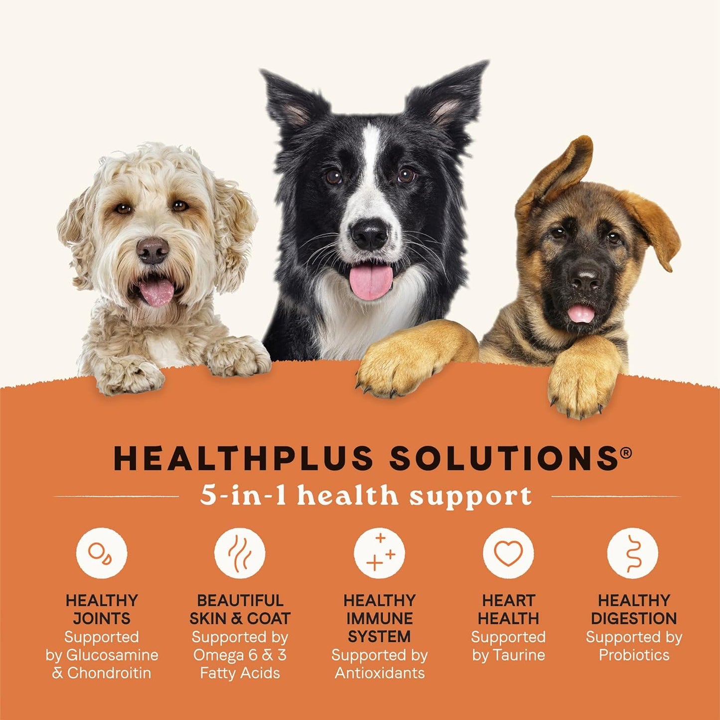 Canidae All Life Stages Multi-Protein Recipe with Chicken, Turkey, Lamb, and Fish – High Protein Premium Dry Dog Food for All Ages, Breeds, and Sizes– 40 lbs.