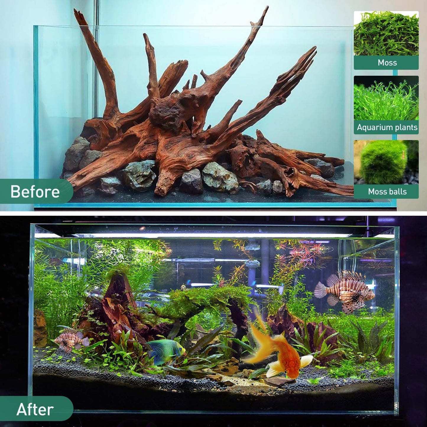 WDEFUN Natural Extral Large Driftwood for Aquarium Decor, 2-Piece 14''-18'' Driftwood for Decorations on Fish Tank, Reptiles Bearded Dragon Accessories or Air Plants