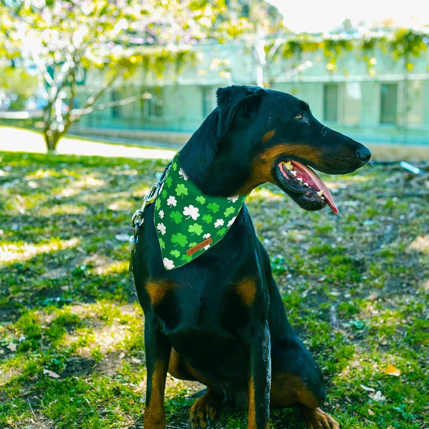 Realeaf St. Patrick's Day Dog Bandanas 2 Pack, Triangle Reversible Pet Scarf for Boys and Girls, Premium Durable Fabric, Holiday Bandana for Large and Extra Large Dogs (X-Large)