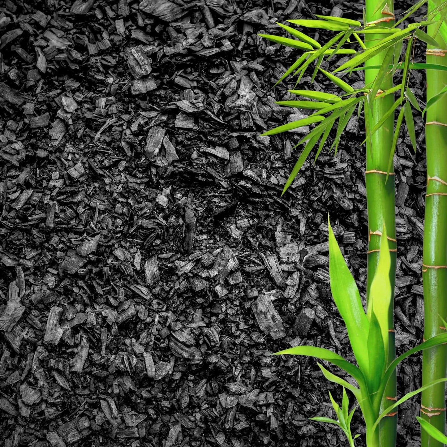 Horticultural Charcoal for Plants β Organic Bio Char Soil Amendment for Terrariums, Indoor Plants & Gardening, Made in USA (3 quarts)