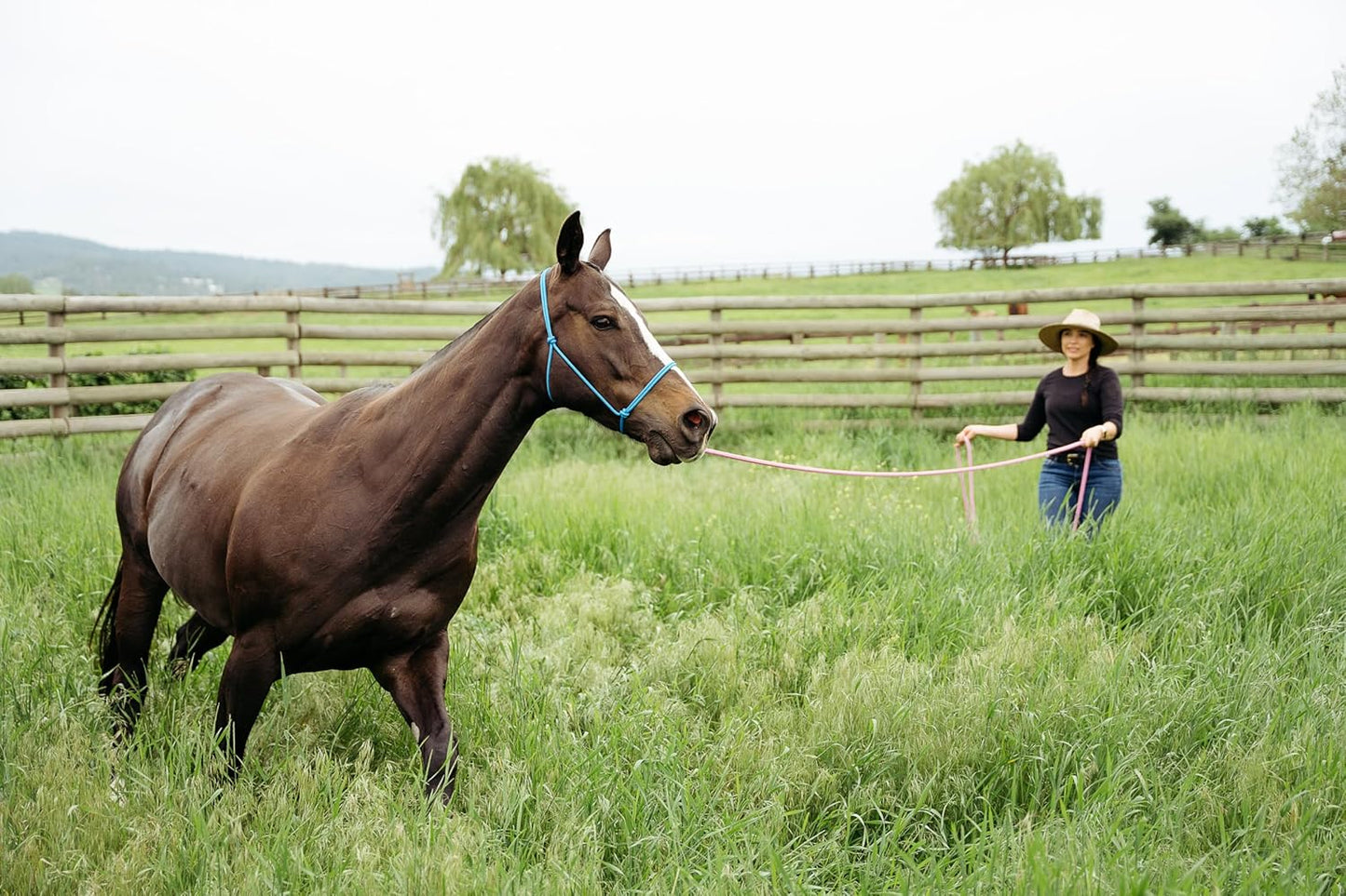 22' Long Line with SS O Ring and Carabiner (Turquoise)