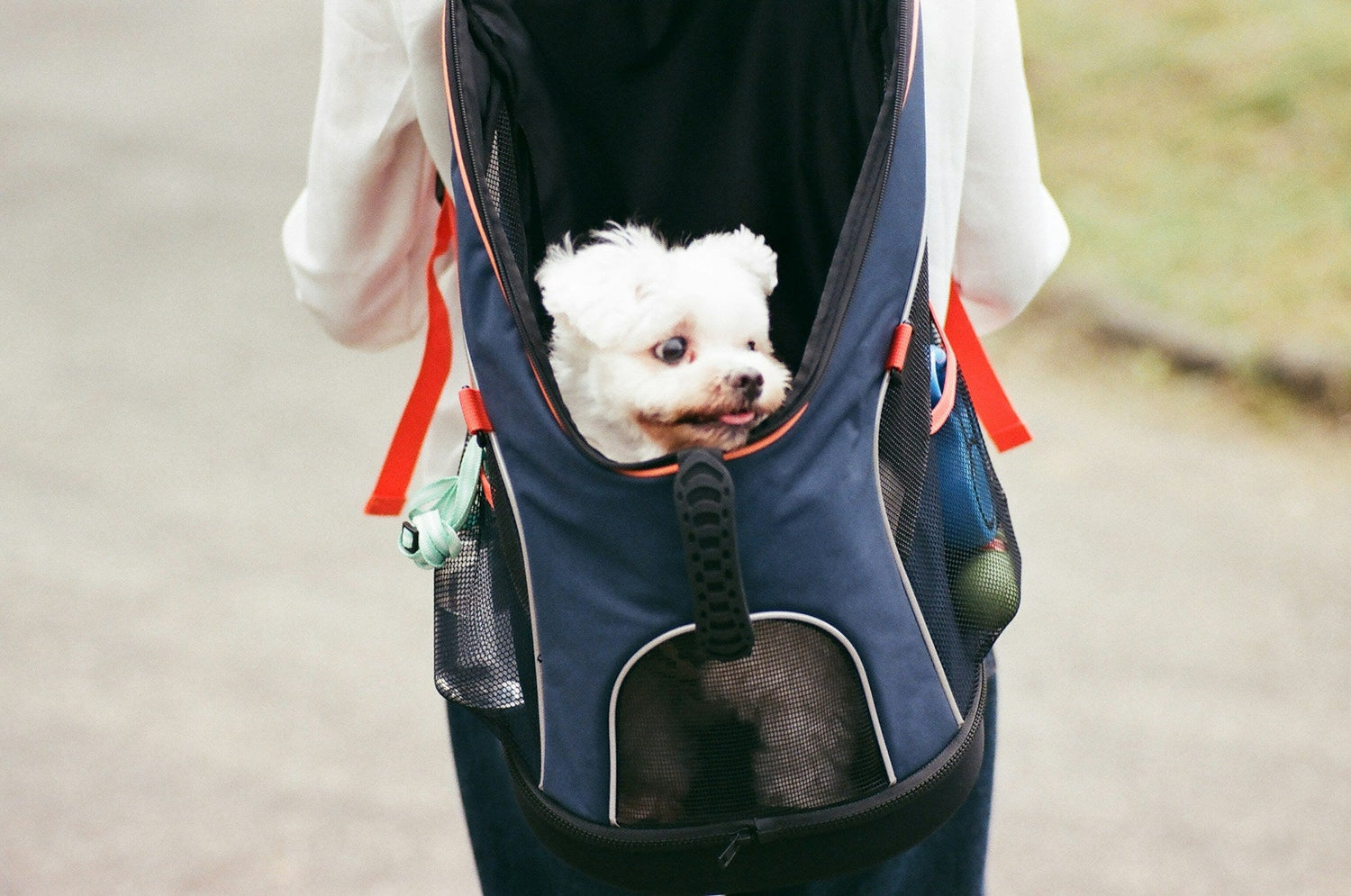 Carry
