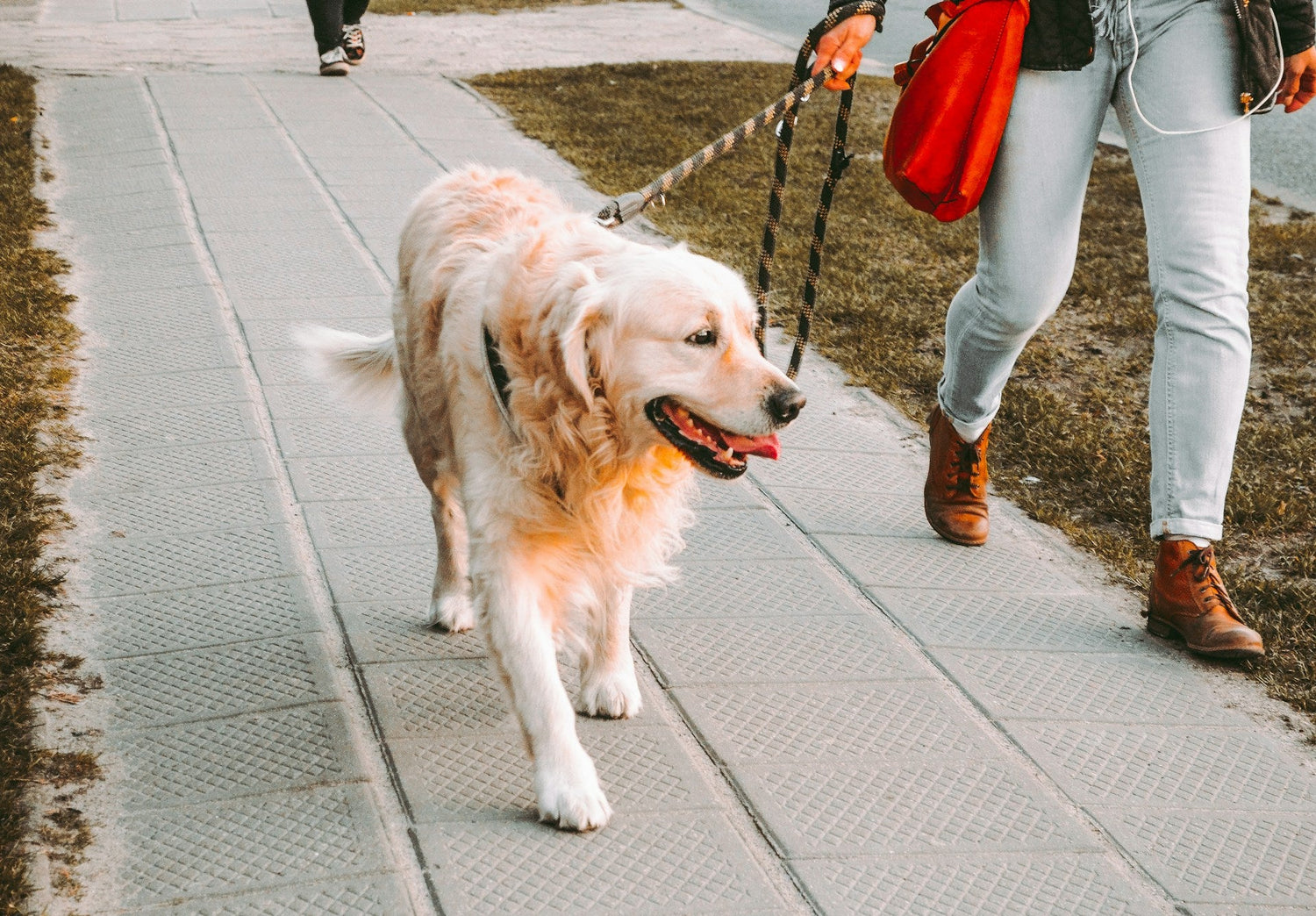 Walk