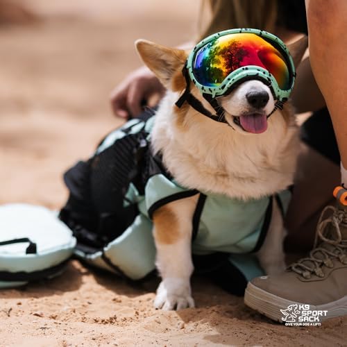 K9 Sport Sack Plus 2 - Medium, Summer Mint - Ideal for Dogs 17-19” Long - Adjustable, Backpack-Style Carrier with Multi-Functional Storage Pack, Thick Shoulder Straps & Padded Back Panel