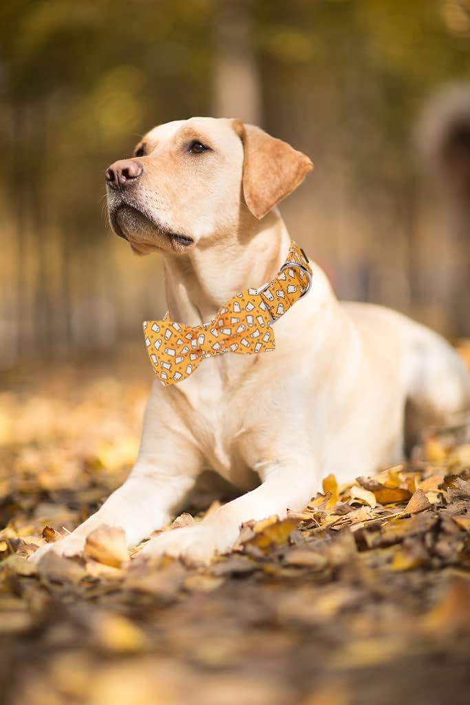 Lionet Paws Halloween Dog Collar with Bowtie - Cute Cotton Adjustable Fall Bowtie Dog Collar with Metal Buckle for Small Medium Large Dog Girl Boy Gift, XS, Neck 8-12in