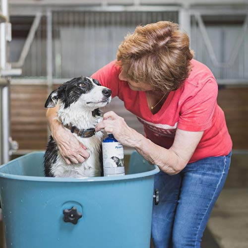 Vetericyn FoamCare Medicated Dog Shampoo - Instant Foaming, Spray-On Hypoallergenic Shampoo, Medicated Formula for Sensitive Skin, Safe for Dogs and Cats. 16 Ounce