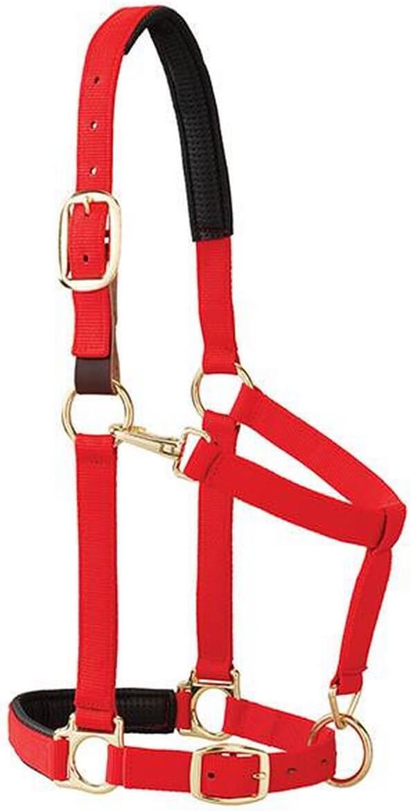 Weaver Equine Breakaway Horse Halter, Comfort Foam Padding, Adjustable Chin & Throat Snap Halters for Horses, Equine Tack,Average Size, Purple