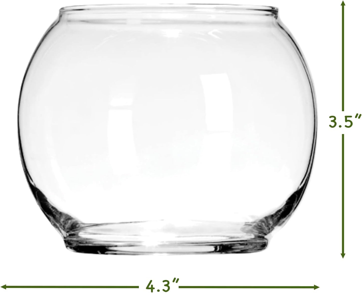 Cute Farms Glass Terrarium Kit | Just Add Your Own Plants (One Glass Bowl)