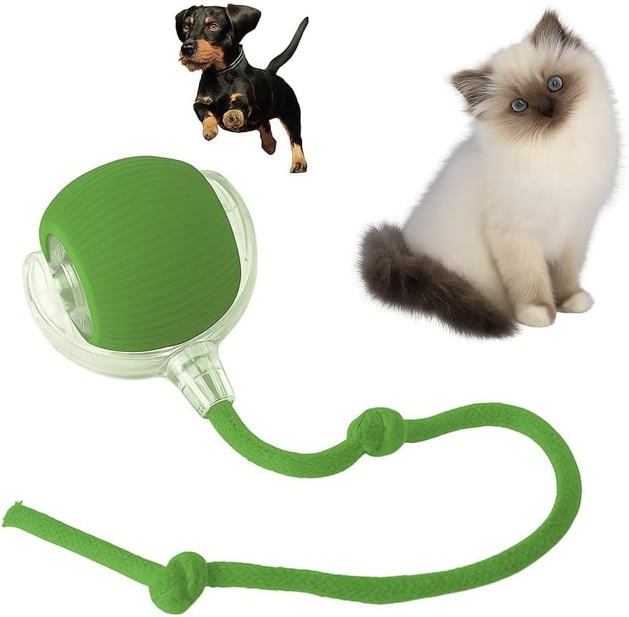 Indoor Cat Interactive Toy 360-degree Automatic Rolling Toy with Floor Flashing and Random Rolling for Cats and Dogs. Continuous Excitement, Fun and Stimulation for Your Cats and Dogs (Green)