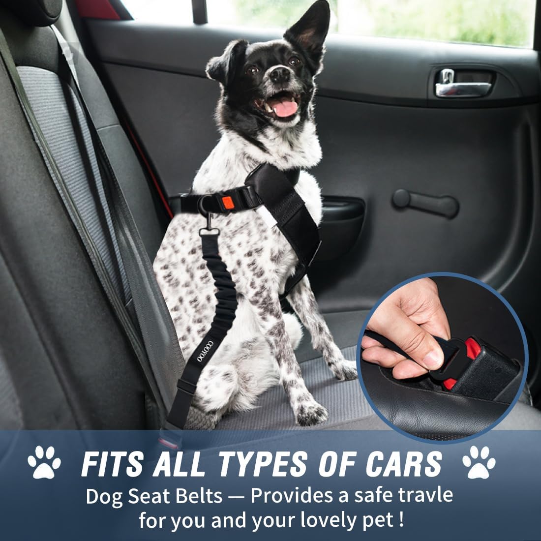 COOYOO Dog Seat Belt,3 Piece Set Retractable Dog Car Adjustable Seatbelts for Vehicle Nylon Pet Safety Heavy Duty & Elastic & Durable Car Harness for Dogs
