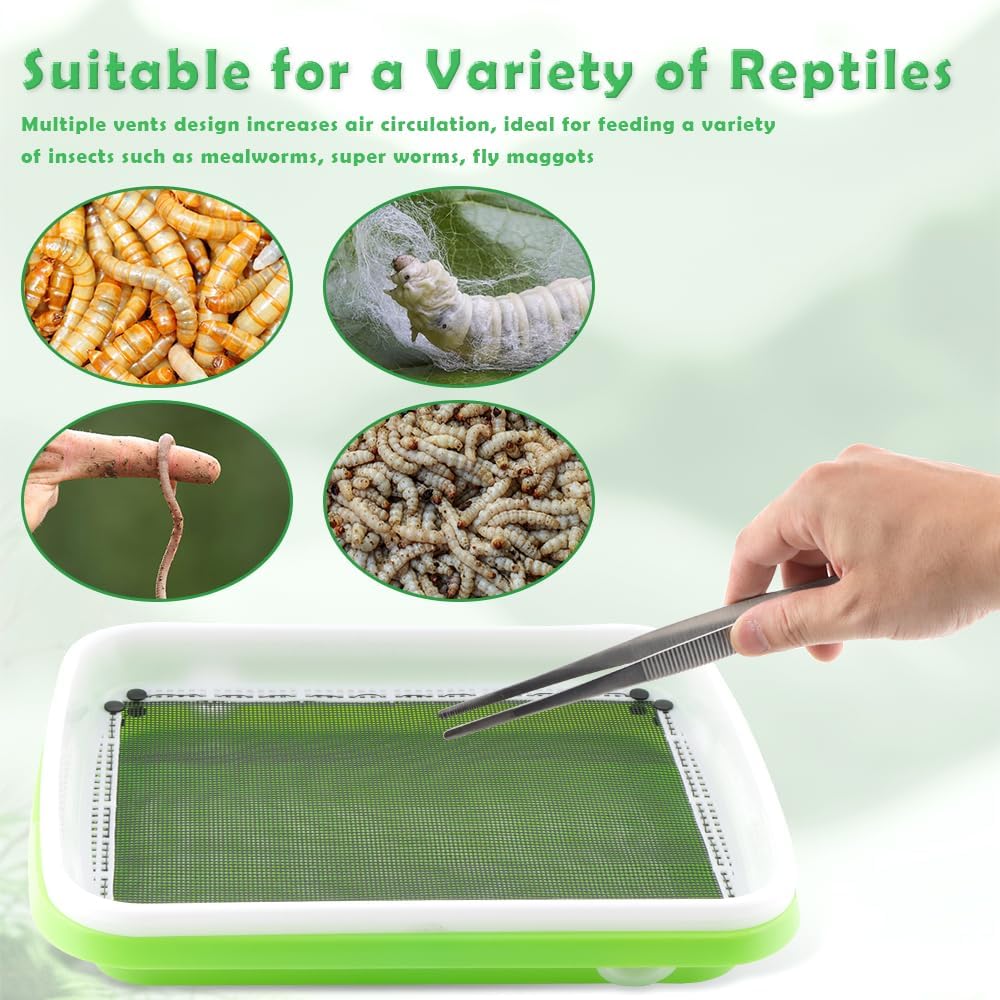 1 Pack Mealworms Breeding Kit Mealworms Keeper with 2 Pcs Insect Stainless Steel Tweezers to Breed Live Worms for Reptile Bearded Dragon Leopard Gecko Lizard Frog Bird Chicken