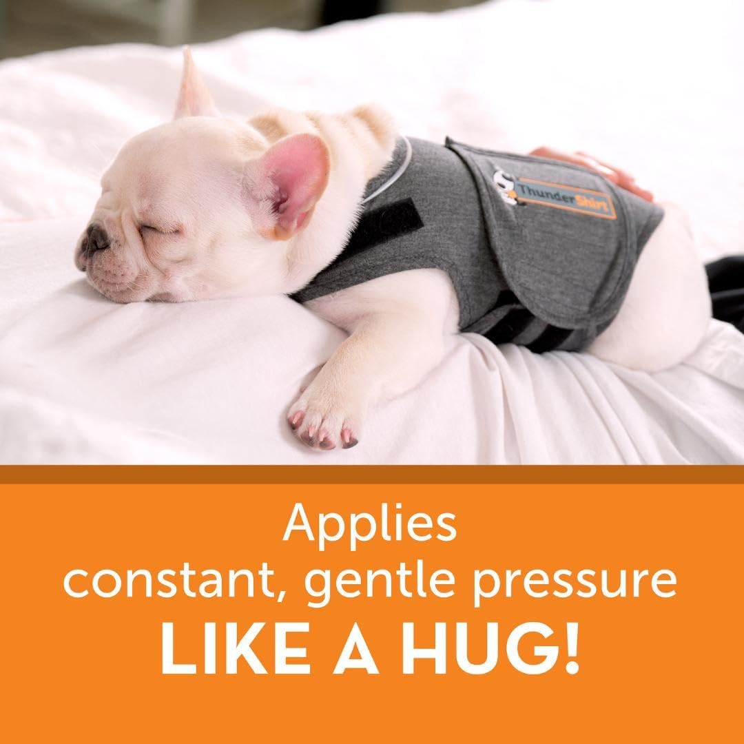 ThunderShirt for Dogs, X Small, Heather Gray Classic - Dog Anxiety Relief Calming Vest