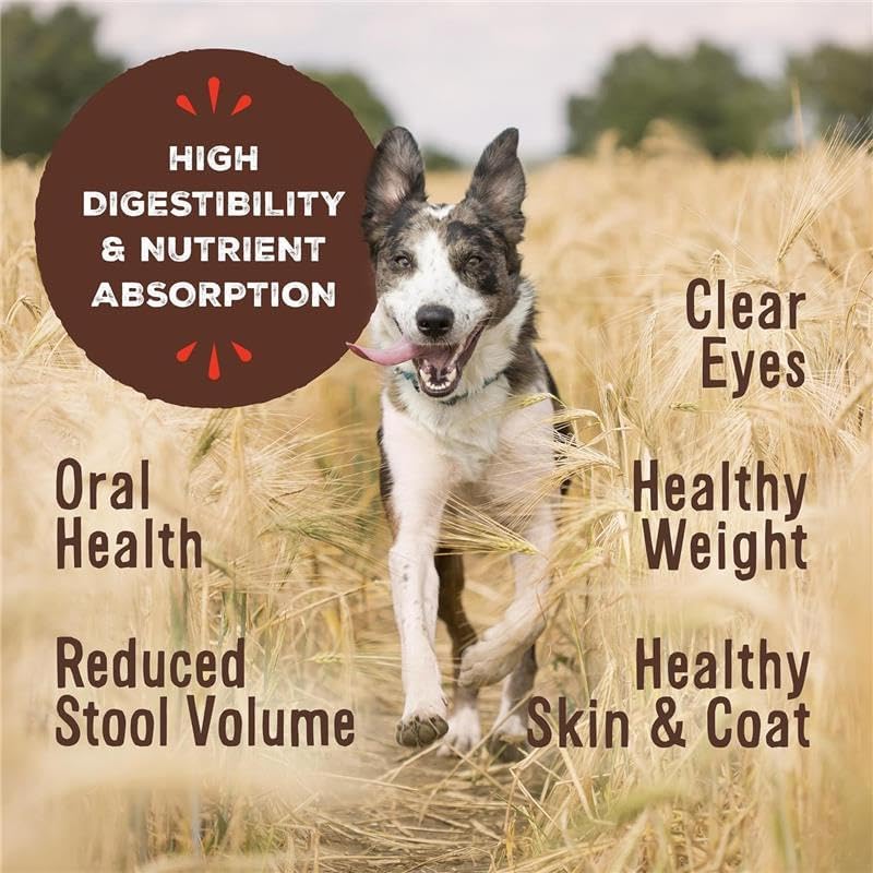 Primal Freeze Dried Raw Dog Food Nuggets, Pork, Complete & Balanced Meal, Also Use as Topper or Treat, Premium, Healthy, Grain Free, High Protein Raw Dog Food, 14 oz