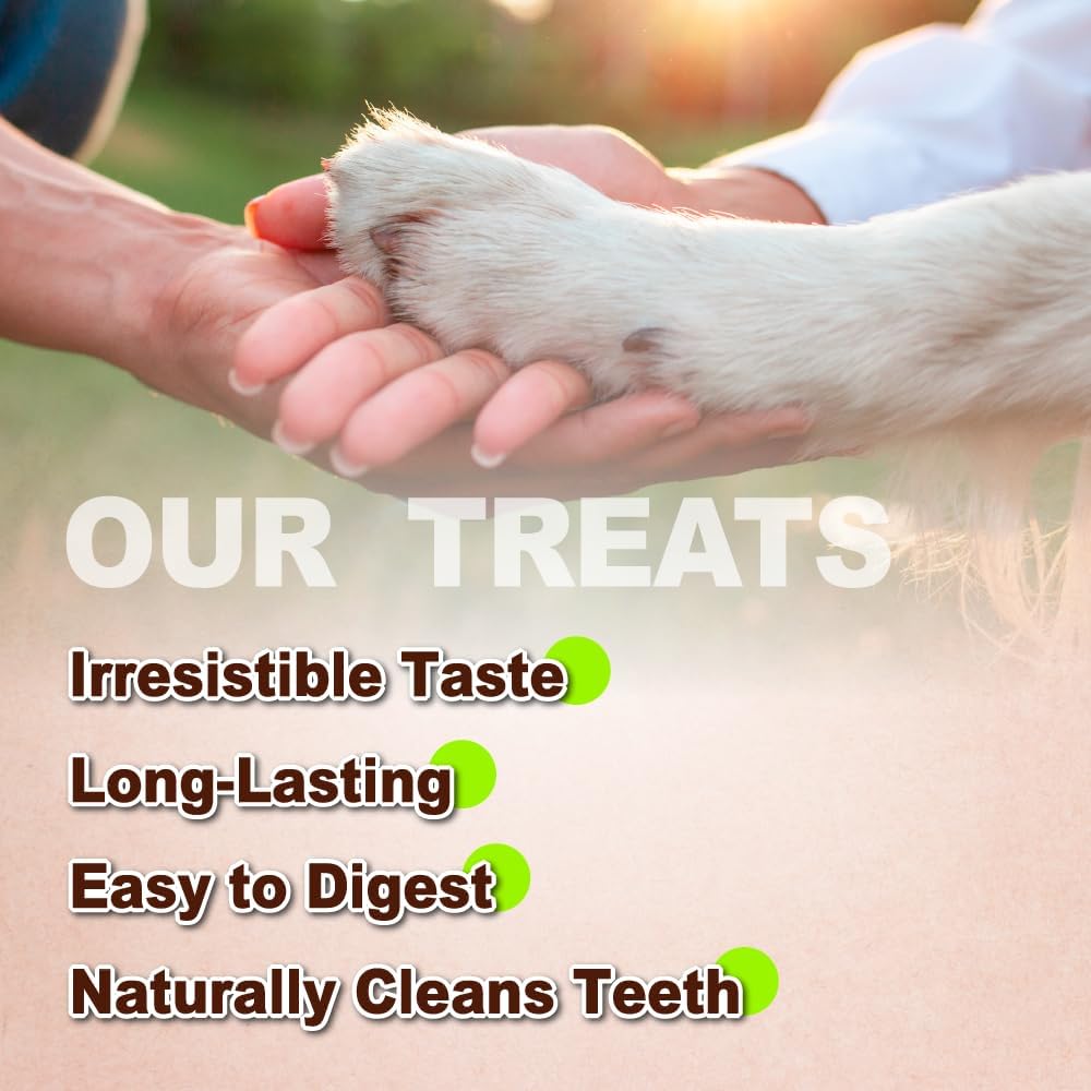 Afreschi Natural Turkey Tendon Bone (M) 10 oz, USA-Sourced Turkey Tendon, All Natural Puppy Chew, Hypoallergenic, Rawhide Alternative, for Medium Breeds