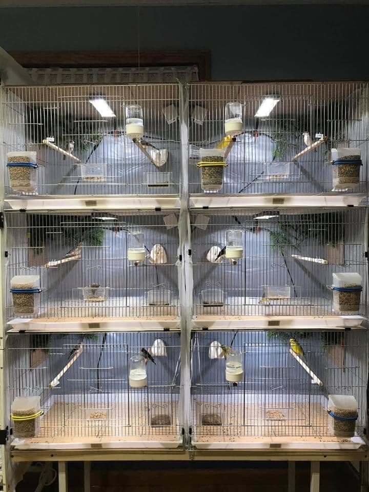 HappyBird Lightning (A Divison of M&M Cage) 24" LED linkable Light bar Without Power Source for Multiple Bird Breeder Cages, Full Spectrum LED. Will NOT Run ON ITS OWN (Single)