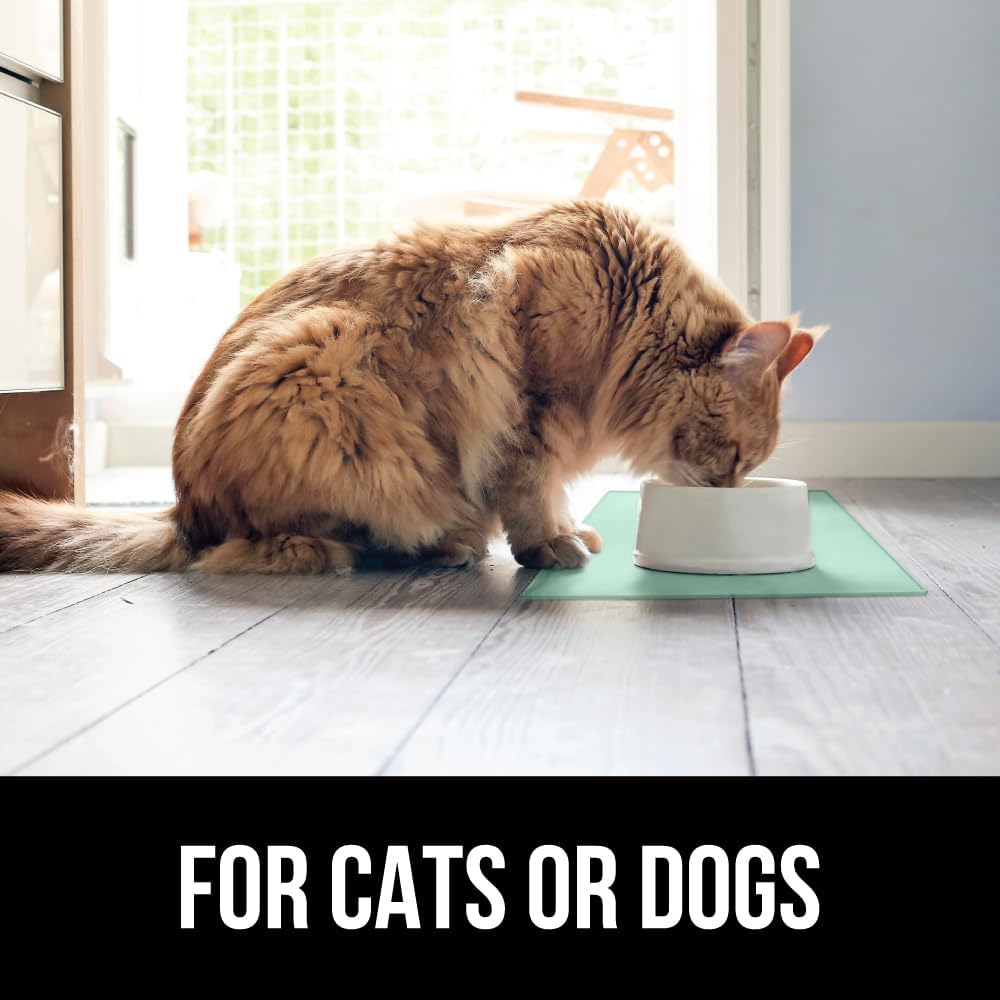 GORILLA GRIP 100% Waterproof Raised Edge BPA Free Silicone Pet Feeding Mat, Dog Cat Food Mats Contain Spills Protects Floors, Placemats for Cats and Dogs Water Bowl, Pets Accessories 28x18 Mint
