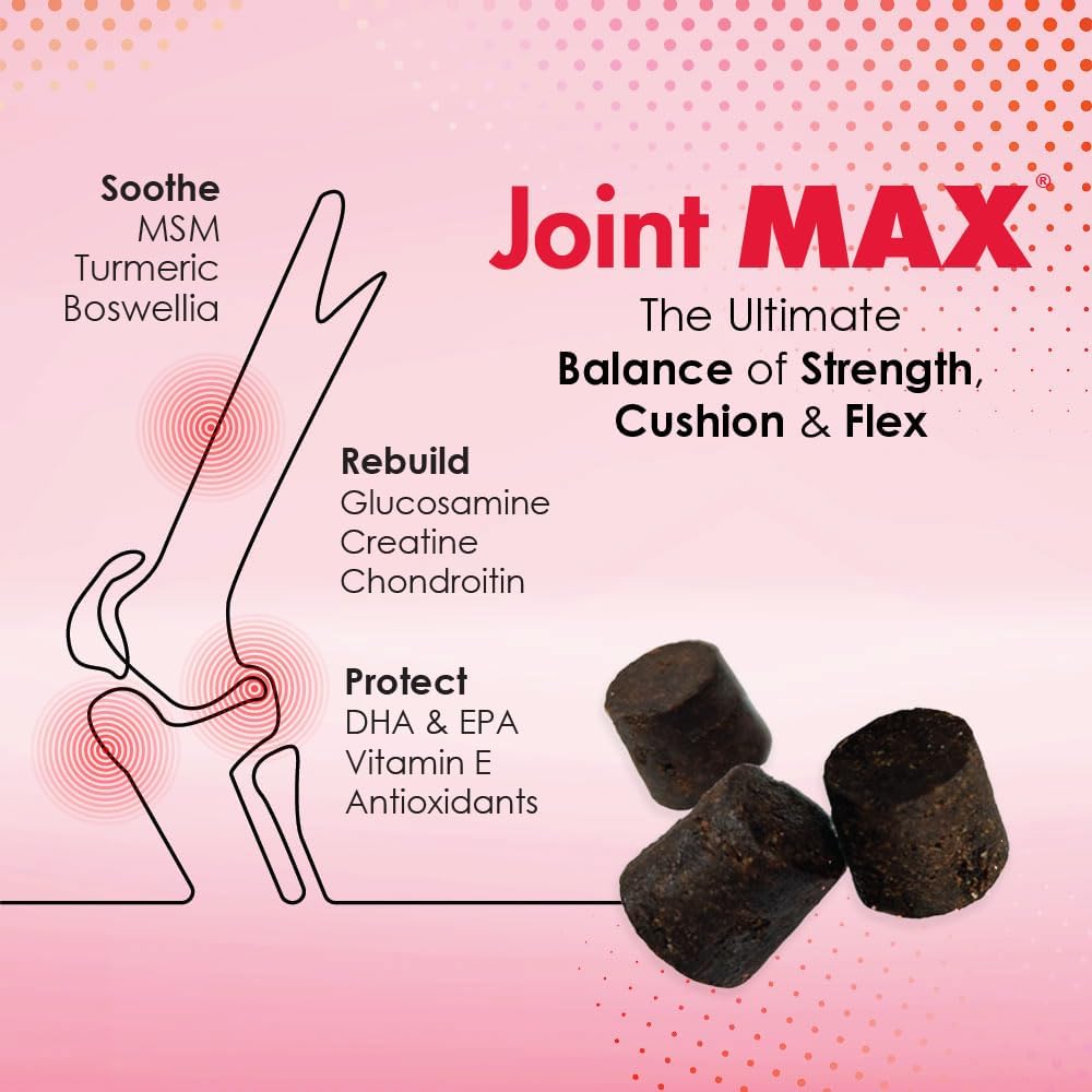 TS Joint Supplement Vet Formulated Pain & Inflammation Relief Treats Hip Dysplasia & Arthritis, Glucosamine, Chondroitin, Turmeric, MSM, HA, Creatine, Omega 3 EPA + DHA.120 Soft Chews