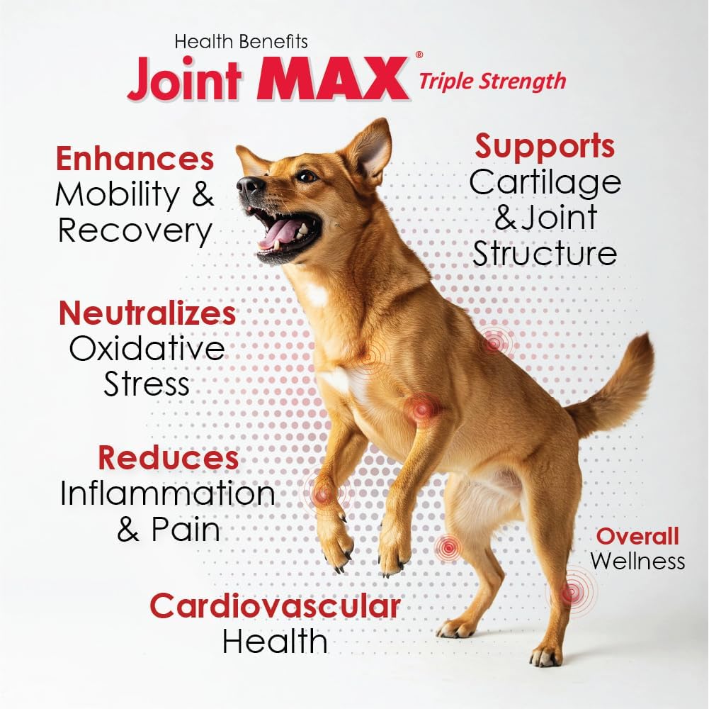 Liquid for Dogs - Vitamins, Minerals, Antioxidants - Glucosamine, Chondroitin - Beef Flavor - Maximum Joint Health Supplement for Dogs - 32 fl oz