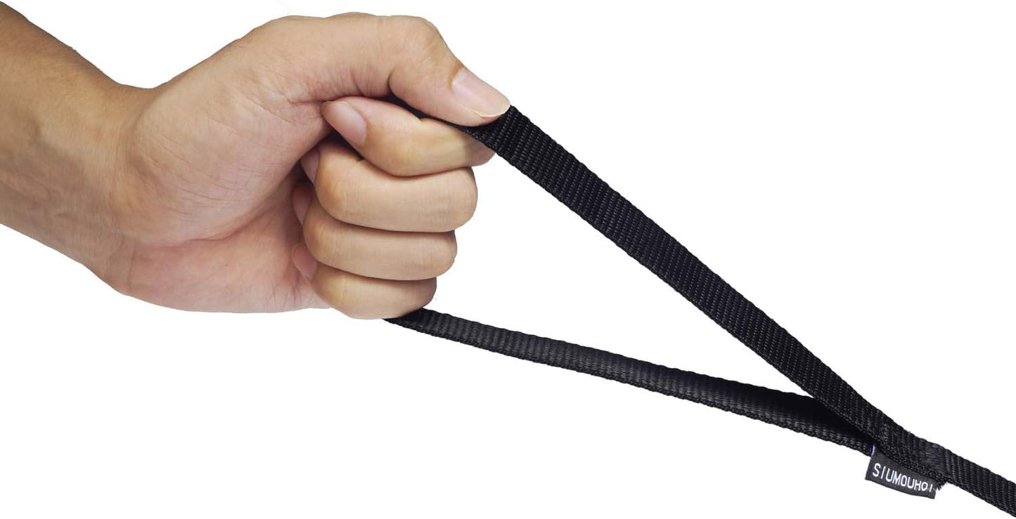 Dog/Puppy Obedience Recall Training Agility Lead - 20ft Long Training Leash，3/4in Wide - Great for Play, Camping, or Backyard (20 Feet, Black)