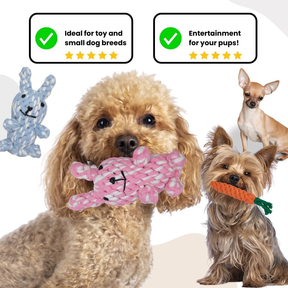 HILLBERRY Dog Rope Chew Toy Cotton Pink and Blue Rabbits and Carrot Bundle Set for Teething Puppy, Small, Miniature and Toy Breed Cute Pet Play Essentials