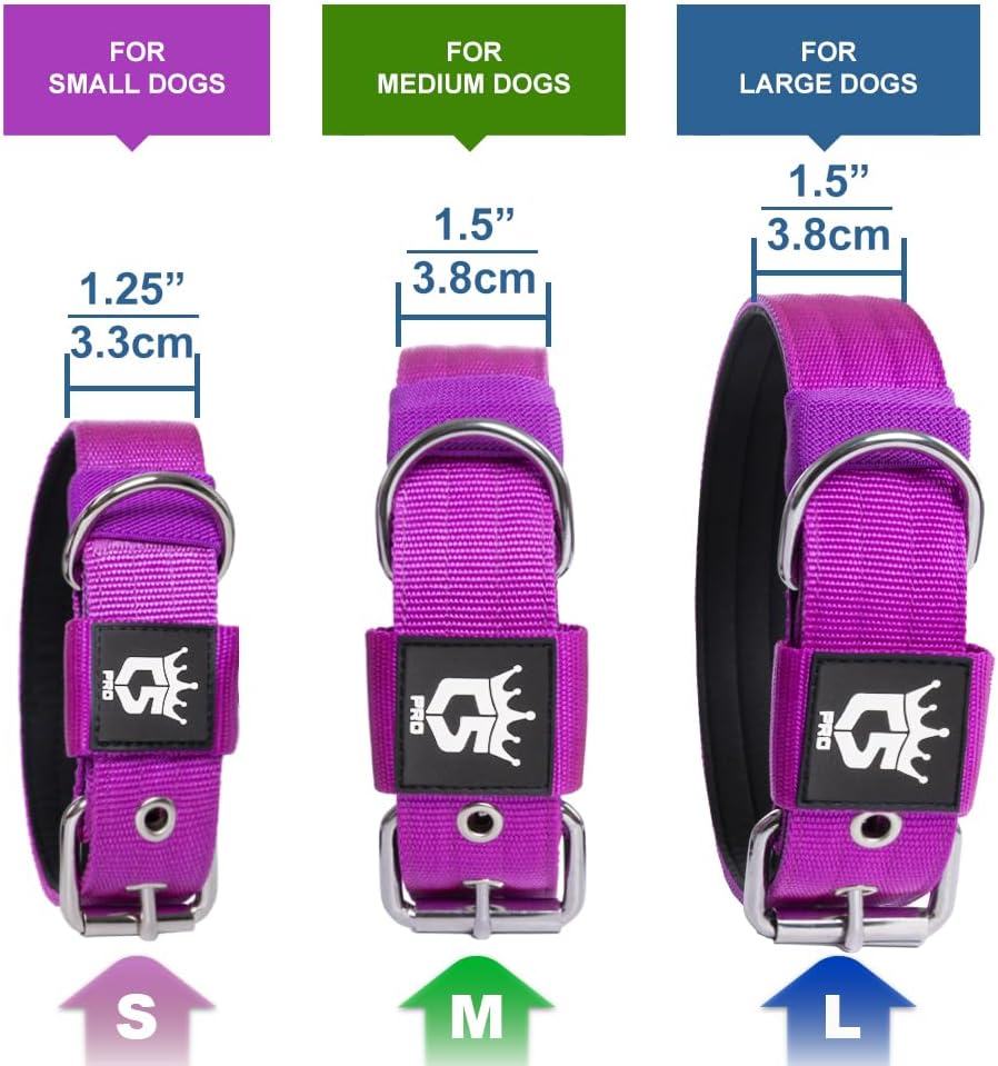 TSPRO Tactical Dog Collar 1.25 Inch Wide Thick Dog Collars with Heavy Duty Metal Buckle, Durable, Strong, Adjustable for Small Dogs (Silver S)