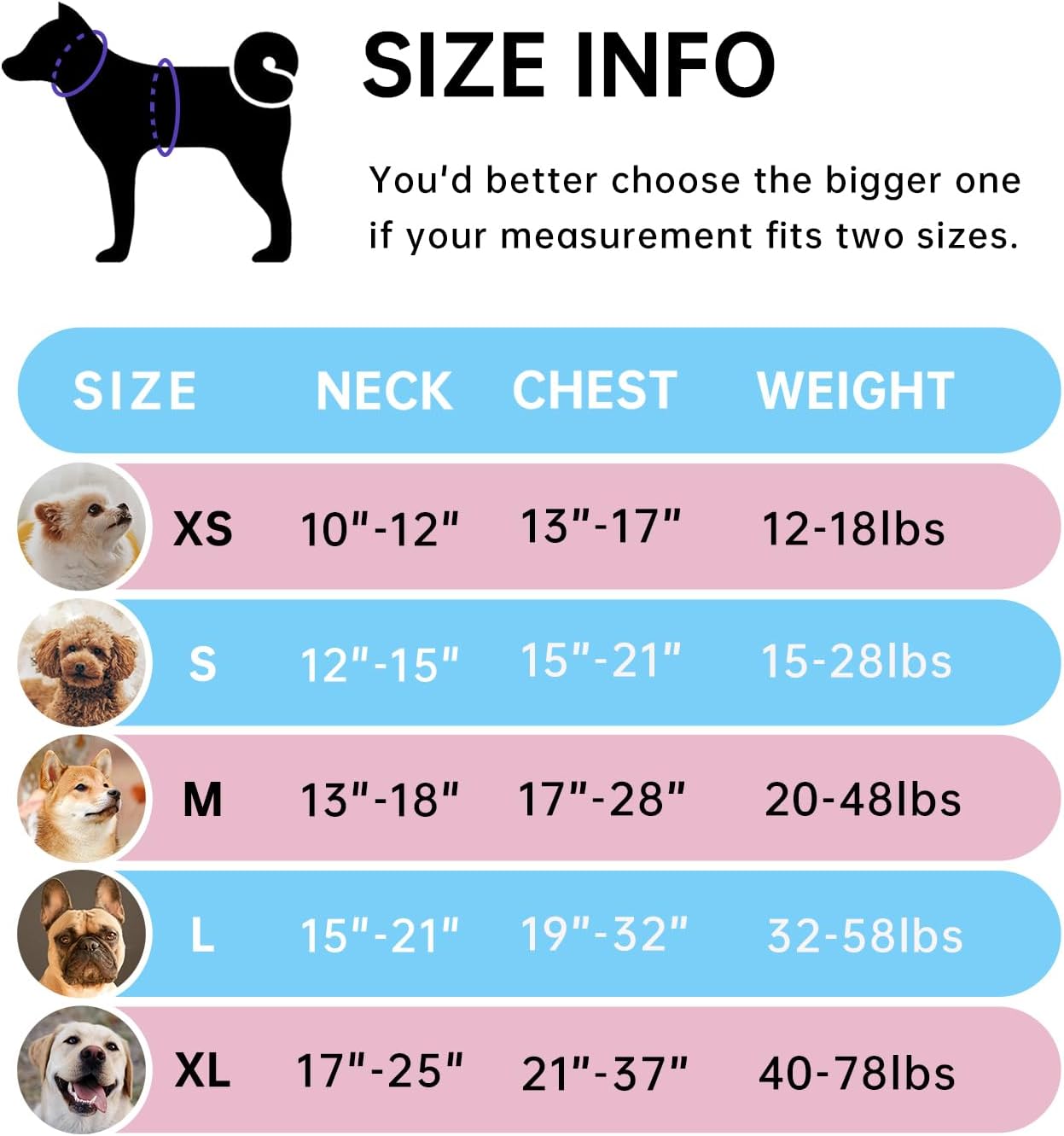 IVY&LANE No Pull Dog Harness for Medium Dogs, Dog Vest Harness with Leash, Safety Belt and Storage Strap, Fully Adjustable, 360 Reflective Strip, Soft Handle (Blue, M)