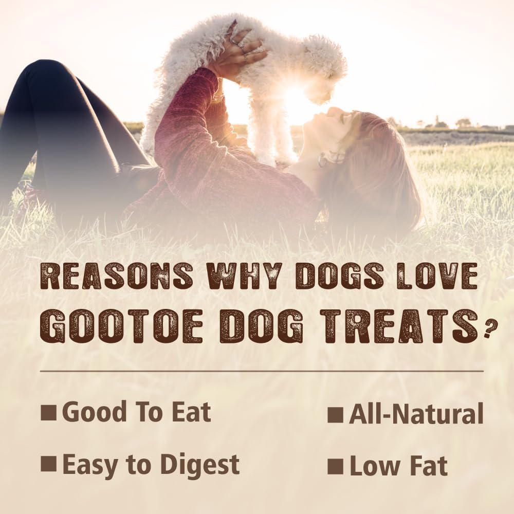 Gootoe Turkey Tendons for Dogs –All-Natural, Hypoallergenic Dog Treats, Rawhide Alternative, Long Lasting Puppy Chews, Healthy Dog Treats for Small Breeds, Twists (S), 10 Count Pack