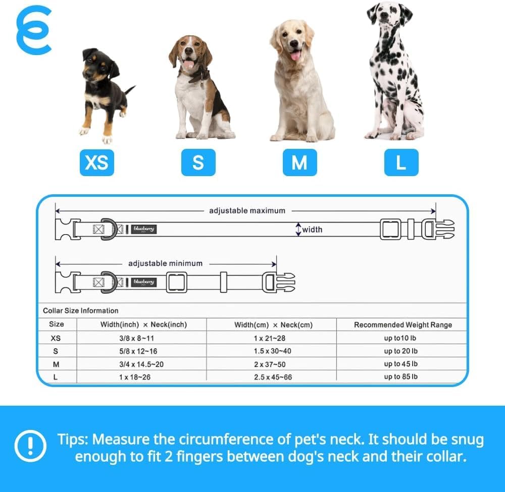 Blueberry Pet X-Small Dog Collar | Dog Collars for Small Dogs | Hot Pink Durable Quick Release Collar | Eco-Friendly French Pink Collar for Female Puppies | Safe Nylon Pet Collar