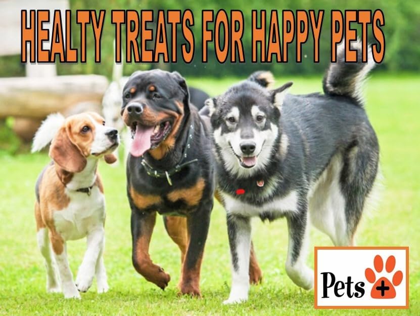 Pets Plus Beef Trachea Dog Chews – 6-Inch, Medium Size, 2 Pack | All-Natural, Grain-Free, High-Protein Dog Treats, Long-Lasting Chews for Dental Health & Joint Support