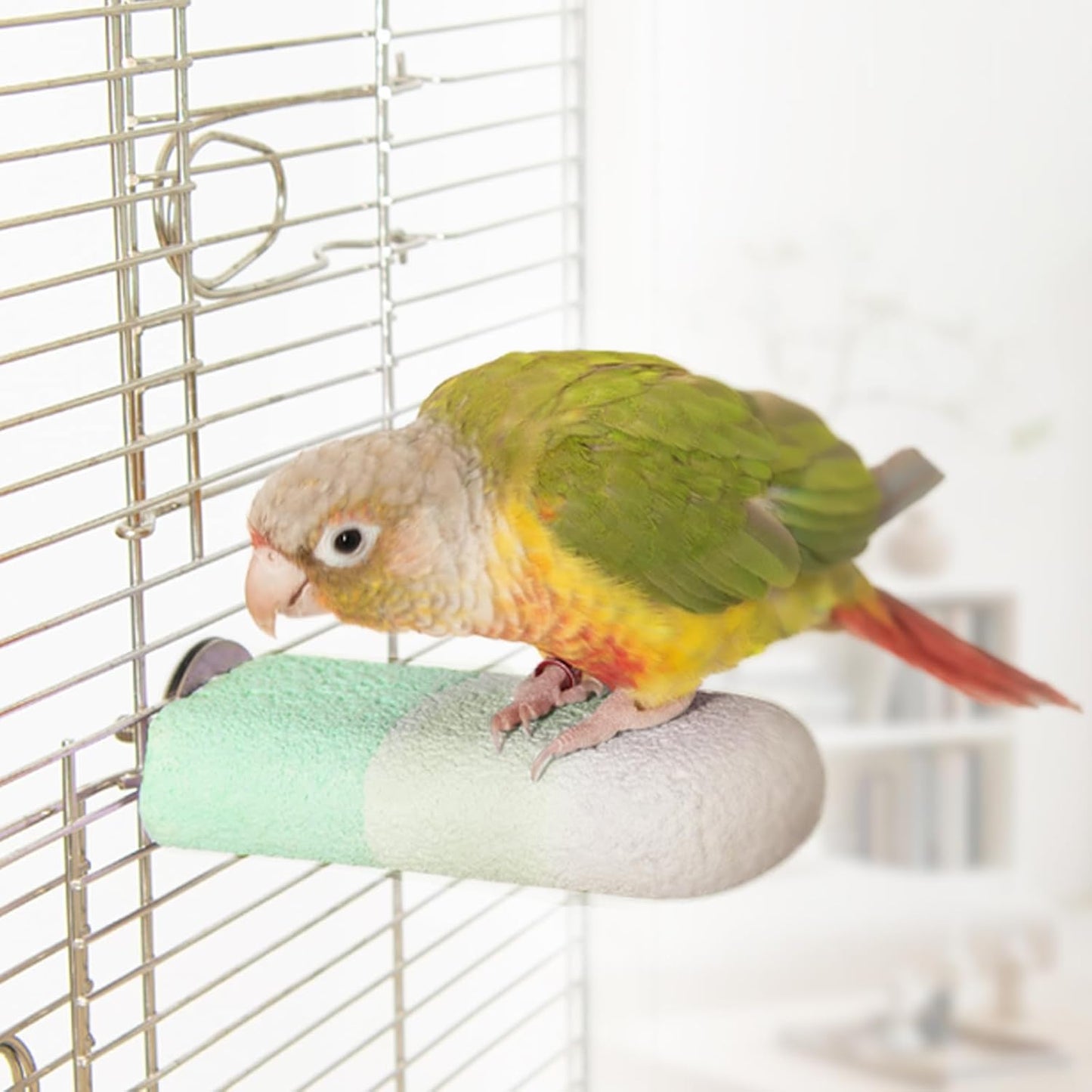 Natural Mineral Bird Perch for Cage Parrot Perch Platform for Beak Grinding Claw Trimming & Chewing Chew Toy for Parakeets Cockatiels Conures Birds Cage Accessories (Gradient Green, 4.7")