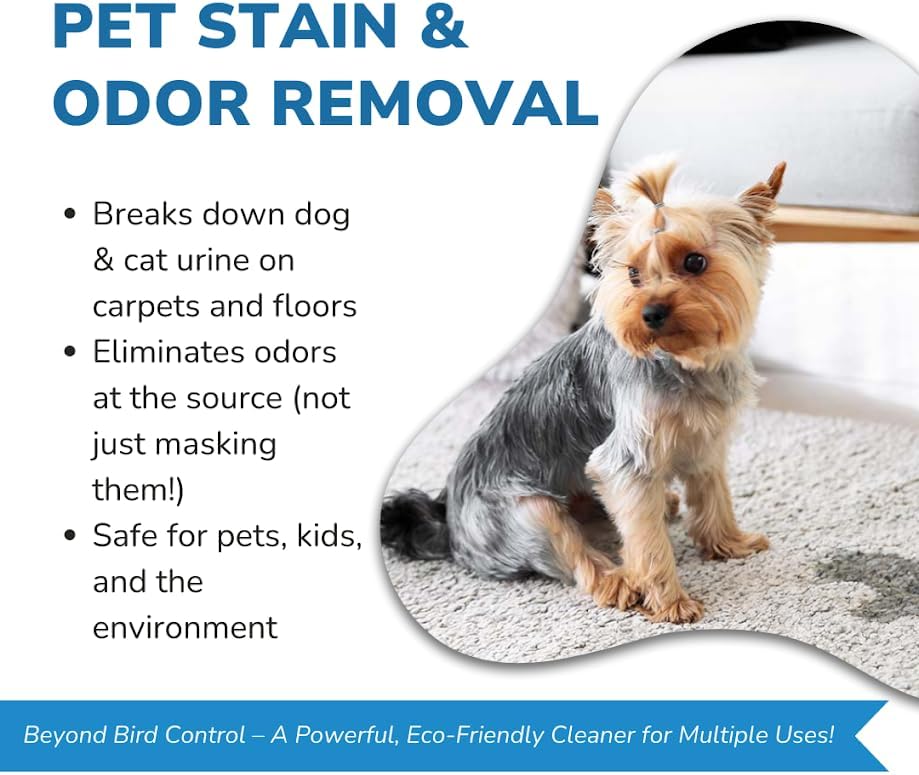 Bird Barrier Dissolve-It Max Enzyme Cleaner - Bird Dropping Cleaner - Dissolves Waste – Treat Affected Areas Before Installing Bird Control Products - Cleans pet stains - 1 Pint Makes 1/2 Gallon