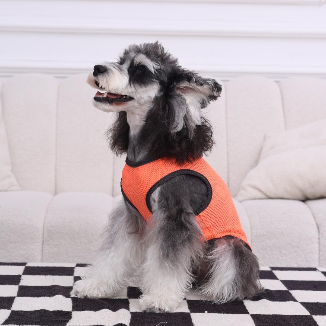 2 Pack Cooling Shirts for Dogs, Lightweight Mesh Breathable Dog Clothes for Medium Dogs Boy Girl,Sports Fan Pet T-Shirts for Dog&Cat Puppy Vest Pet Apparel - XL