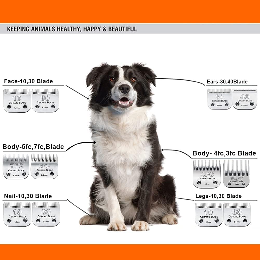 6Pack 10Blades Dog Grooming Replacement Blades Compatible with Andis Pet Clipper/Oster A5/Wahl KM Series Dog Clipper,Ceramic Blade & Stainless Steel Blade (#10+30+5FC+7FC+3FC+4F)