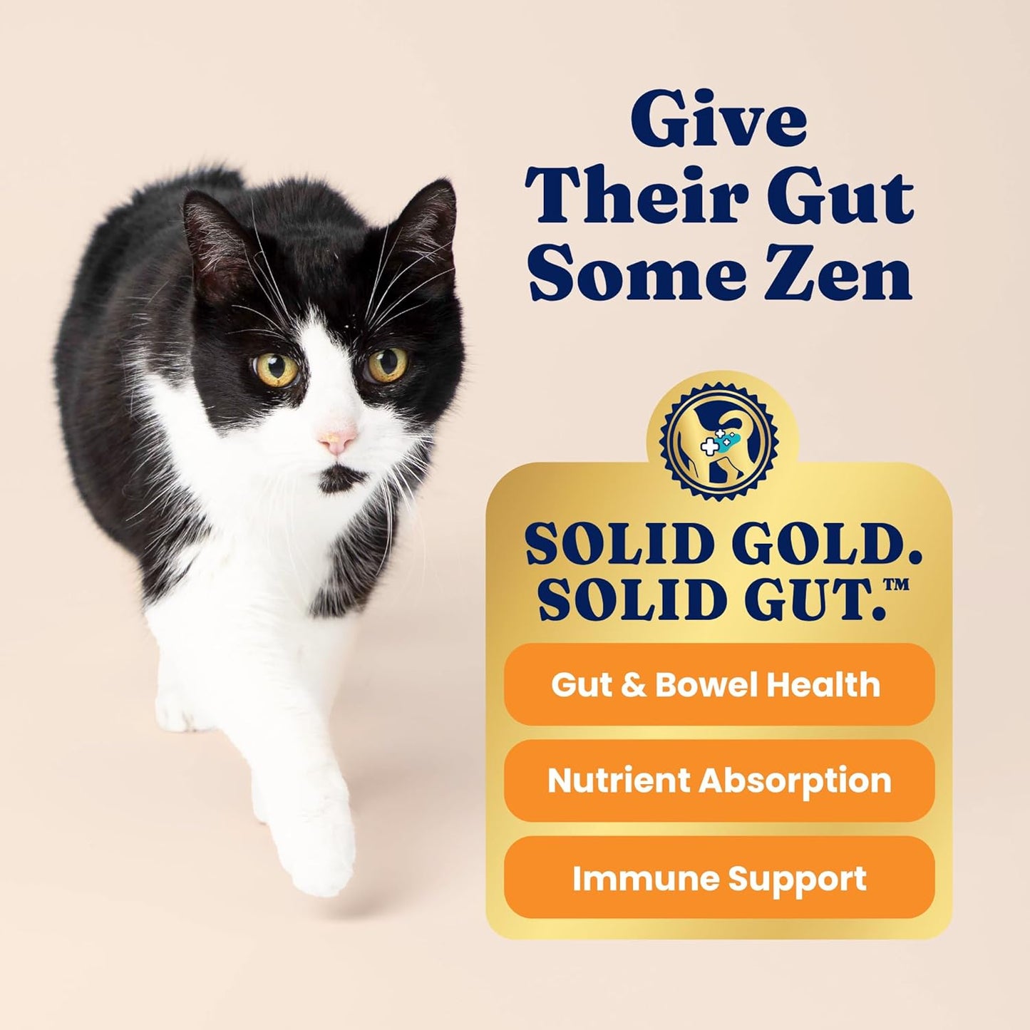 Solid Gold Wet Cat Food Pate in Coconut Oil - Healthy Canned Cat Food Pate w/Real Chicken, Omega Fatty Acids, Vitamins & Minerals - Grain Free & Gluten Free Canned Meals for Cats & Kittens - 24ct/3oz