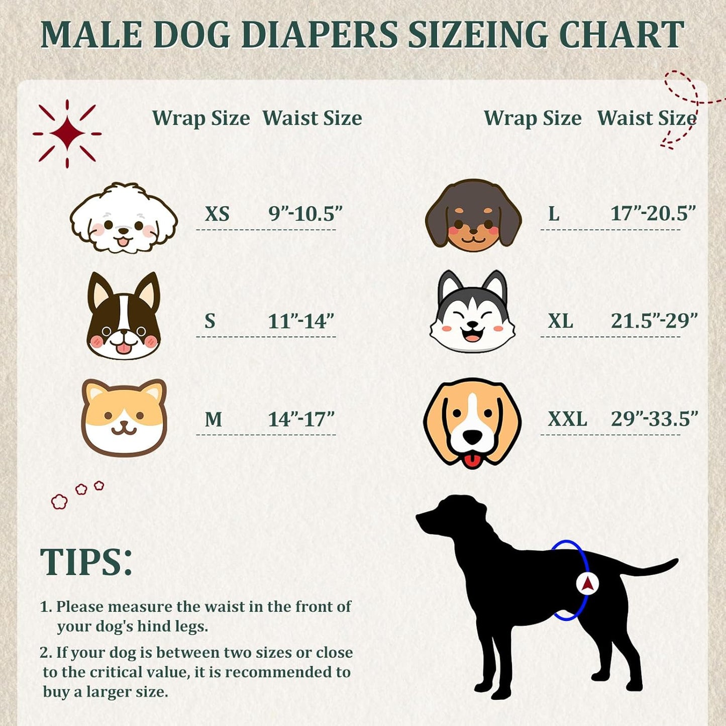Reusable Dog Diapers Male, Premium Washable Belly Bands for Male Dogs Extra Large, Pack of 5, High Absorbing Male Dog Wraps for Doggie & Puppy in Incontinence or Excitable Urination and Training(XL)