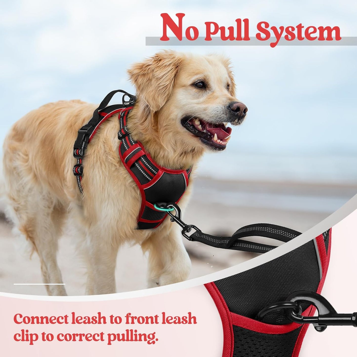 rabbitgoo Dog Harness No Pull with 2 Leash Clips, Adjustable Soft Padded, Reflective Oxford No Choke Pet Vest with Easy Control Handle for Large Dogs, Black & Red, L