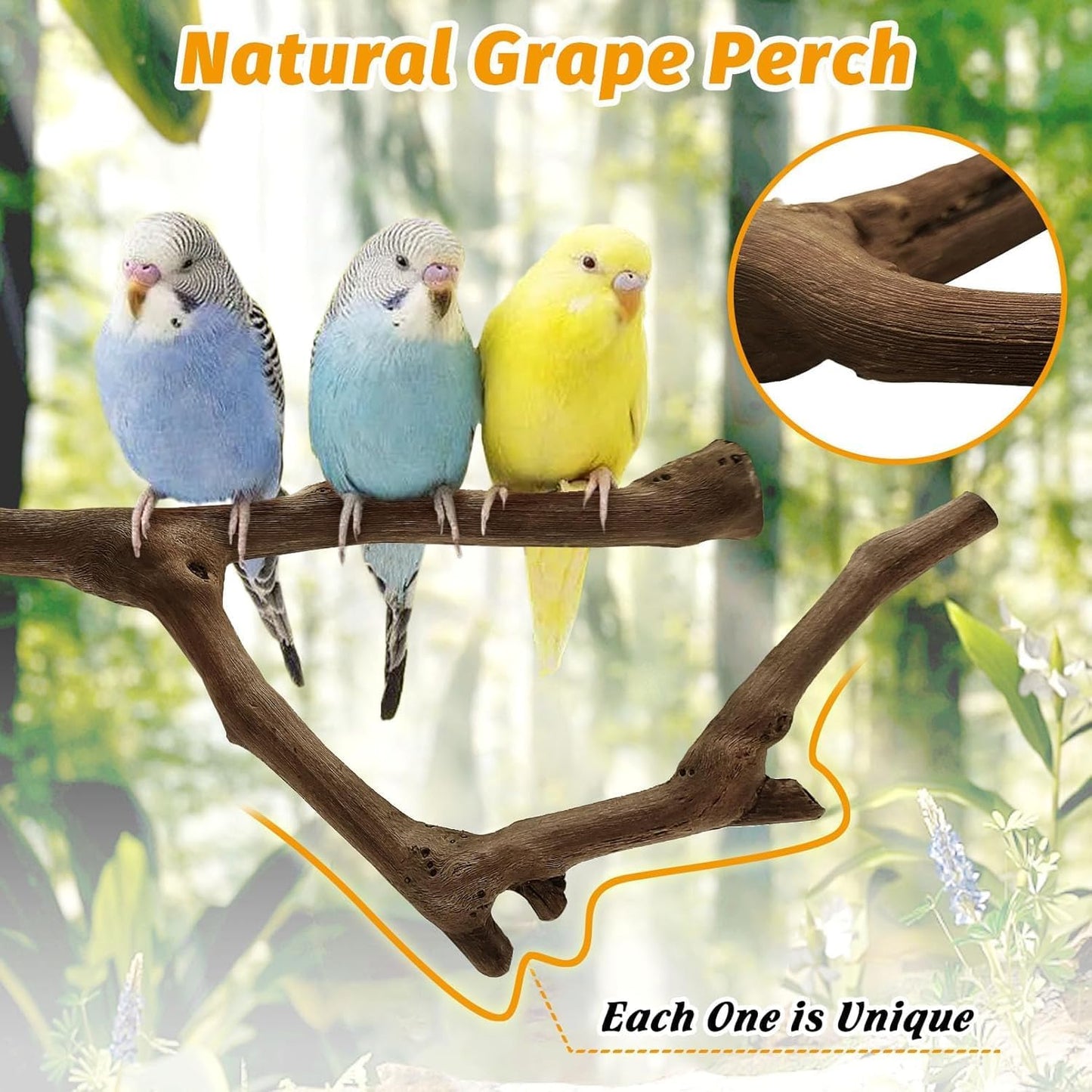 kathson Natural Parrot Perch Bird Stand Pole Wild Grape Stick Paw Grinding Fork Parakeet Climbing Standing Branches Toy Chewable Cage Accessories for Small Budgies Cockatiels Lovebirds