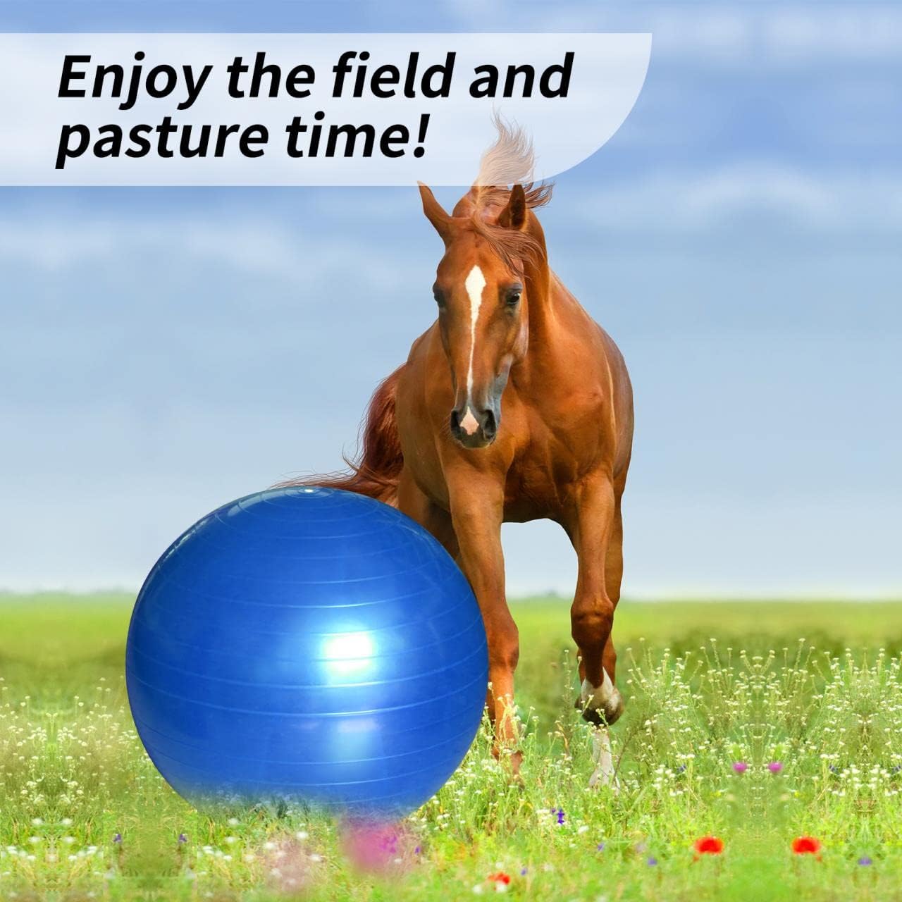 17 Inch Horse Play Ball - Anti-Burst Herding Ball for Play & Training
