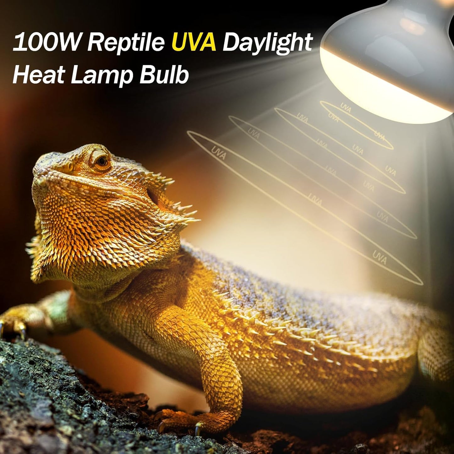100W Daylight Basking Light Bulb & Infrared Heat Lamp Bulb for Amphibians Reptiles Bearded Dragon, Turtle, Lizard, Snakes, Geckos, ...