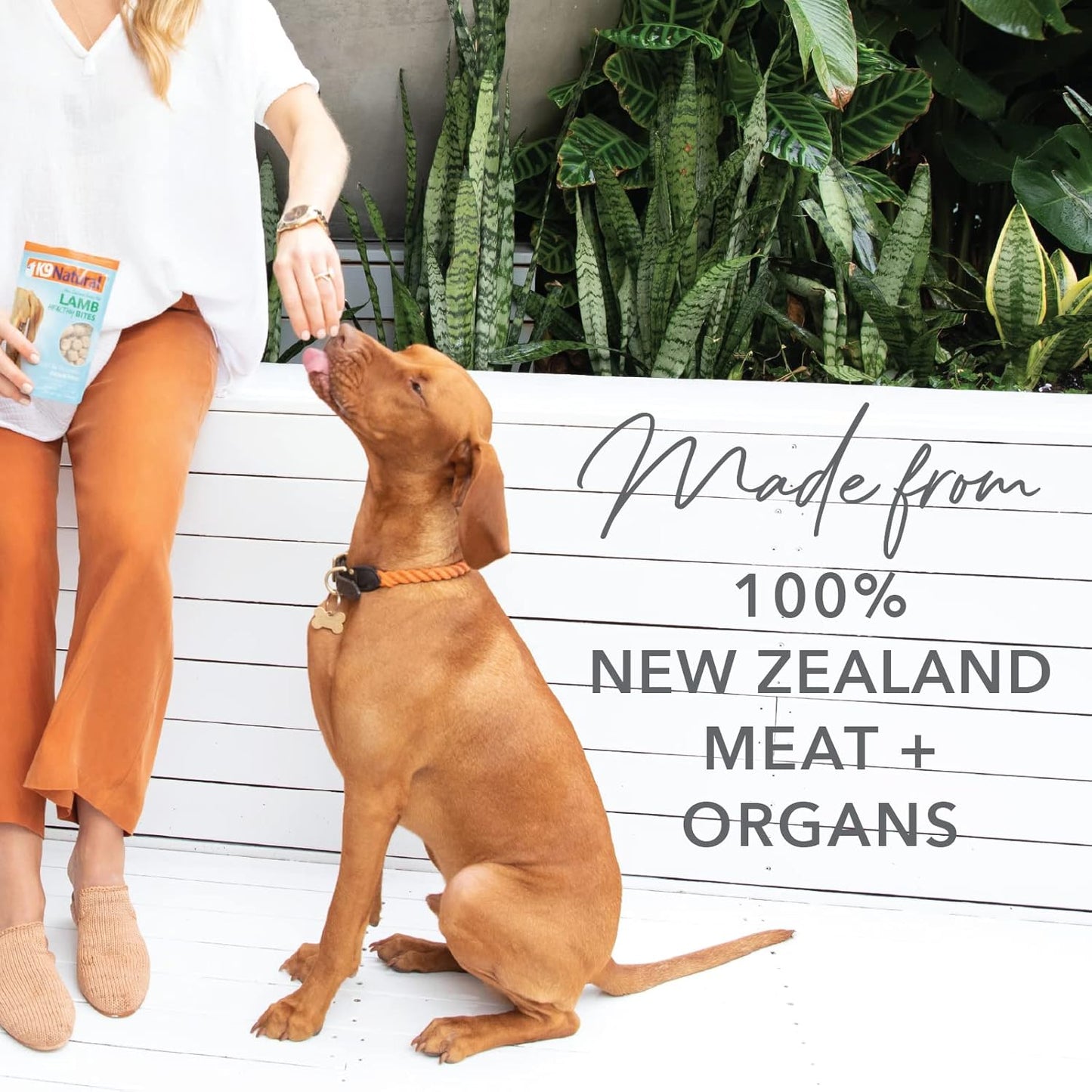 K9 Natural, Freeze-Dried Single Ingredient Dog Treats, High-Value, Low-Calorie Protein Bites for Active Dogs, Healthy Dog Training Treats, Grain-Free Reward, Beef Lung, 2.1oz (Pack of 2)