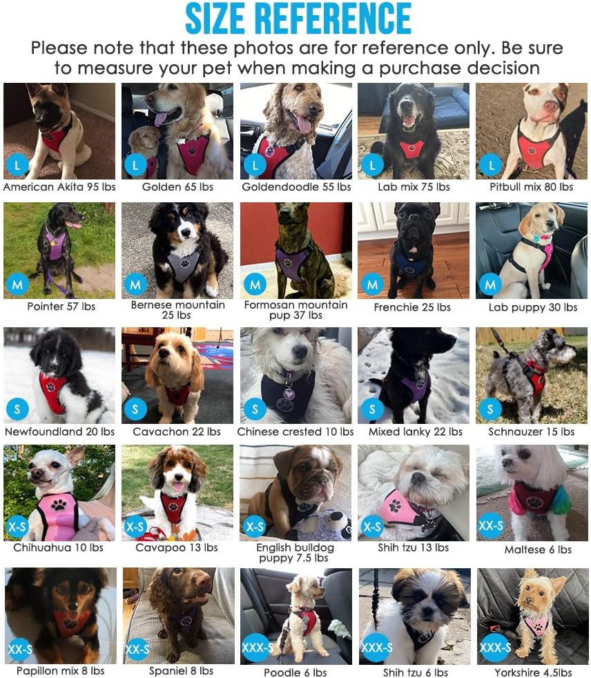 Lukovee Dog Seat Belt for Car, Adjustable Dog Car Harness for Large Medium Small Dogs, Soft Padded & Breathable Mesh Dog Seatbelt with Car Strap and Carabiner(Pink Double Clip,X-Small)